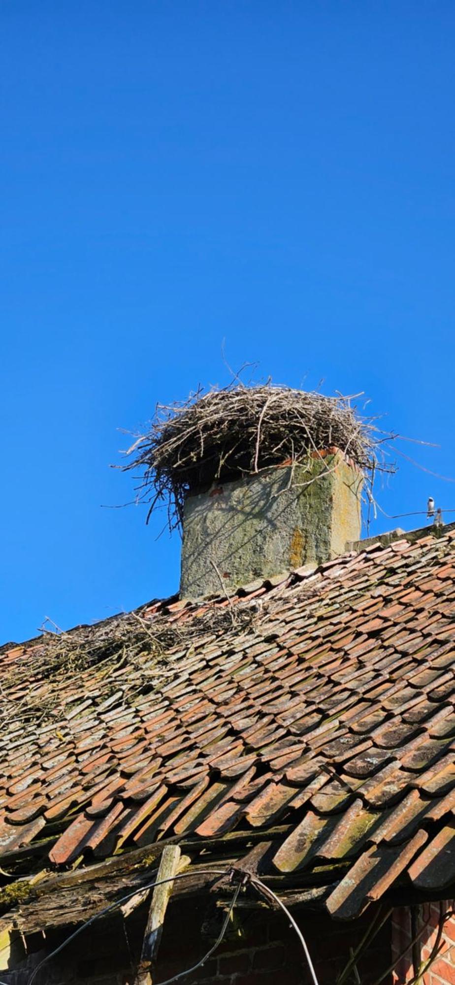 Oliwkowe Jerzykowo -Klimatyzacja Villa Radzieje Dış mekan fotoğraf